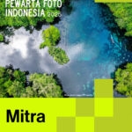 16 Mitra 01 copy
