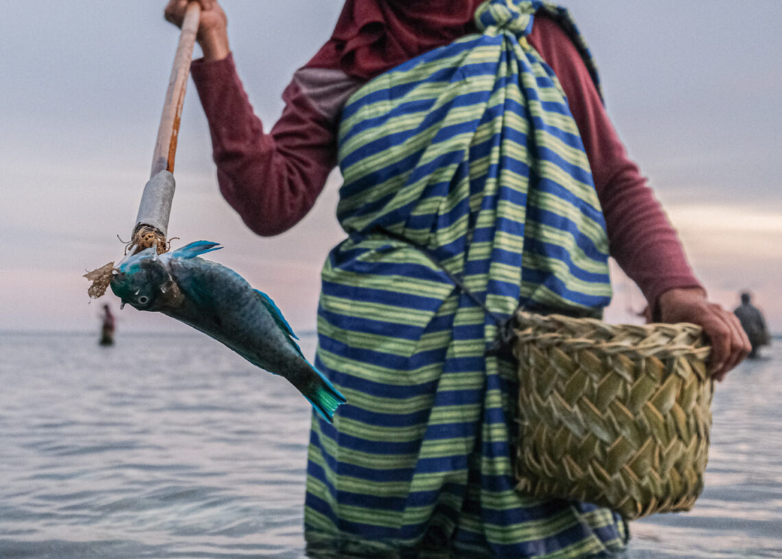 Seorang ibu rumah tangga menangkap ikan menggunakan tombak saat mengikuti tradisi Hekente di Desa Sombu, Wakatobi, Sulawesi Tenggara